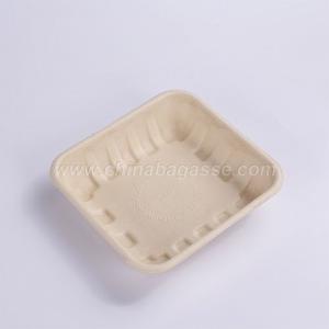 Wholesale soup plate: 100% Biodegradable Sugarcane Bagasse Tray Disposable Paper Kids Party Supplies Tray
