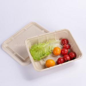 Wholesale protect: Sugarcane Take Away Fast Food Container with Lid
