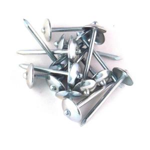 Wholesale galvanized nails: Roofing Nails