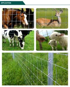 Wholesale cattle panel: Cattle Fence, Grassland Fence, Filed Fence
