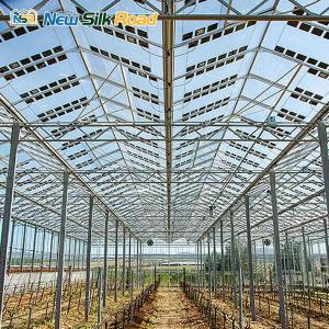 Wholesale solar pv system: NSR Greenhouse Cheap Glass Cover Agricultural PV Solar Grenhouses with Hydroponic Systems