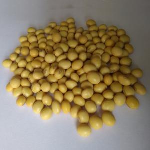 Wholesale Bean Products: Soybeans CIF China