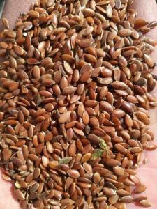 Wholesale seed oil: Flax Seeds