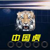 Chinatiger , your relible business partner in Guangzhou ...