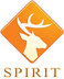 Yongjia Spirit Toys Factory Company Logo