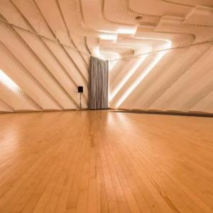 Wholesale spc rigid core flooring: 3.5 Mm Vinyl Flooring