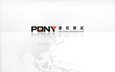 PONY Testing Group Qingdao Branch  Company Logo