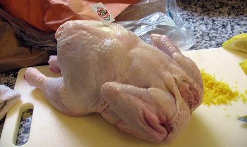 Sell Frozen Whole Chicken/Paws