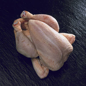Wholesale Meat & Poultry: Frozen Whole Chicken