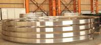 Sell steel forged flange 