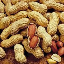Wholesale Peanuts: Raw Peanut Kernels / Raw Groundnut Peanuts