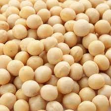 Wholesale Bean Products: Soybean Seeds