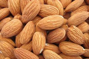 Wholesale Almond: Almond Nuts