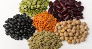Wholesale lentil: Bean Lentils