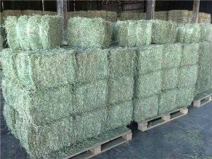 Wholesale Hay: Alfalfa Hay in Bales