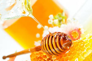 Wholesale sweet honey for sale: Sweet Honey Bee