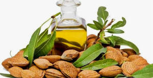 Wholesale health food: Almond Oil