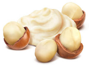 Wholesale color cosmetic: Shea Butter