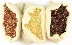 Wholesale odor removal: Quinoa