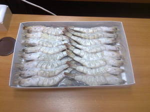 Wholesale Fish & Seafood: Shrimps