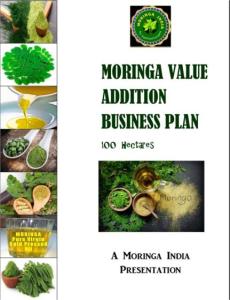Wholesale s: Moringa Value Addition Business Plan