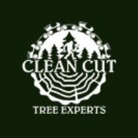 Clean Cut Tree Experts