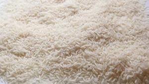 Wholesale type common: Non-Basmati & Basmati Rice