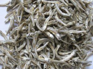 Wholesale steam: Dried Sprat Anchovy / 100% Sun Dried Sprat / Boiled Anchovy Sprats