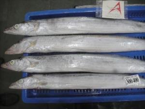 Wholesale high quality: Wholesale Low Price High Quality Frozen Ribbon Fish