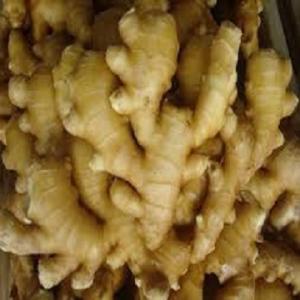 Wholesale carton box: Fresh Ginger