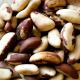 Brazil Nuts Natural Grade / Top Quality Brazil Nuts for Sale / We Also Have Paradise Nut