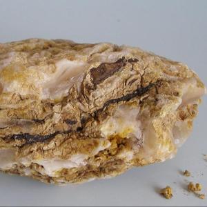 Wholesale high quality: High Quality Sell Whale Vomit Ambergris