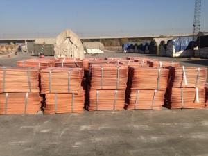 Wholesale aluminum sheet: Hot Sale!!! Copper Cathode 99.99% Best Quality