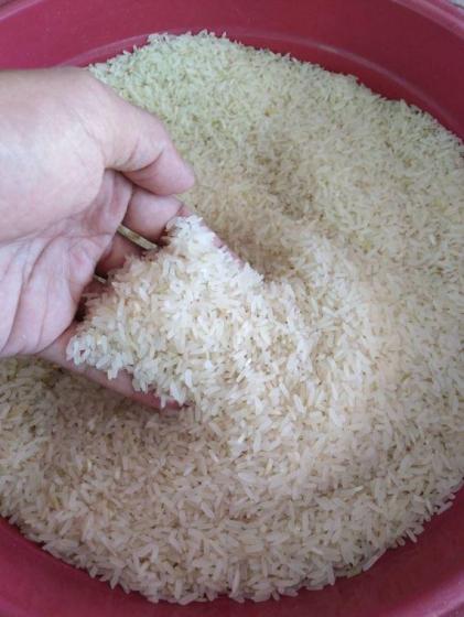 Sell Thai Jasmine Rice, Basmati Long grain rice