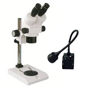 Wholesale Microscopes: Microscope, Binocular with Halogen Light Source
