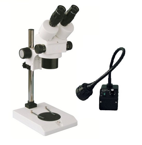 Microscope, Binocular with Halogen Light Source
