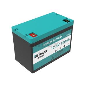 Wholesale module battery pack: Power Battery BLX-12100