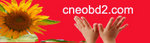 China BlueSea EOBD2 Technology Co., Ltd. Company Logo
