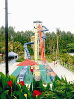 Sell [Sinofun Rides]Water rides/water park/high speed water slide: WRS06