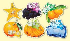 Wholesale Adhesive Paper: Static Sticker