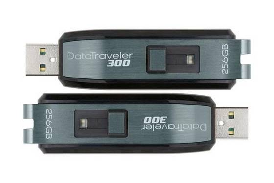 Флешка Кингстон 256 ГБ. Netas USB Flash Drive 256 GB. Флешка 1 бит. Флешка RIDATA EZDRIVE hd9 High Speed 256gb.