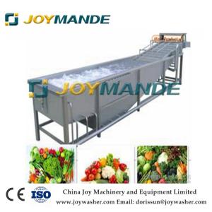 Wholesale fruits washer: Industrial Vegetable and Fruit Air Bubble Washing Machine Air Bubble Washer