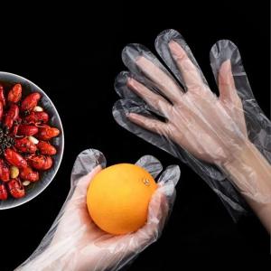 Wholesale Safety Gloves: Disposable Plastic/PE Gloves
