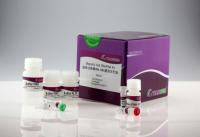 Sell coivd 19 RNA extraction kit