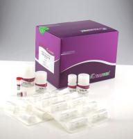 Sell Virus RNA Extraction Kit