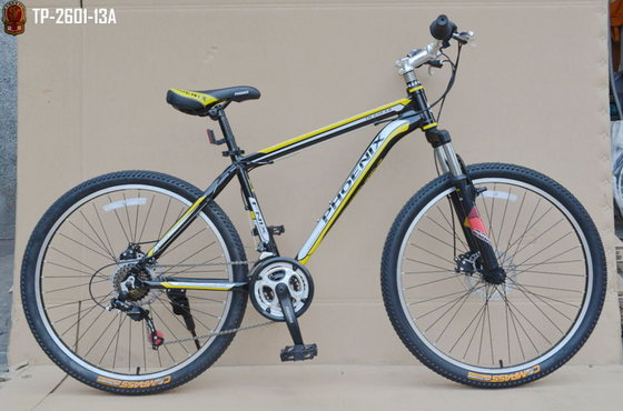 phoenix mountain bike