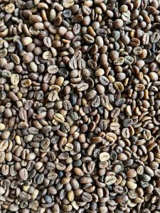 Wholesale arabica: Arabica Fermented Green Coffee Beans