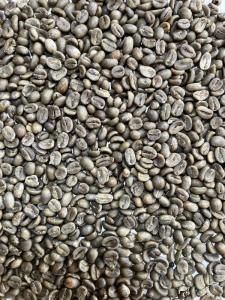 Wholesale natur product: Arabica Wild Civet Green Coffee Beans