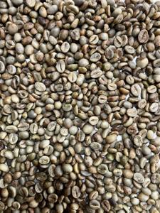 Wholesale Coffee Beans: Robusta Green Coffee Beans