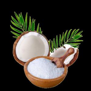 Wholesale Dried Food: Desiccated Coconut (Grated Coconut) - Coconut Global